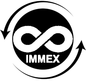 Logo IMMEX